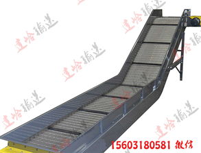 輸送機(jī)生產(chǎn)廠家供應(yīng) 機(jī)械配件生產(chǎn)鏈板輸送機(jī) 移動(dòng)式鏈板輸送機(jī)價(jià)格